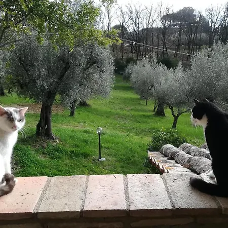 Apartamento Il Casale Morello, Vacanze Al Tezio