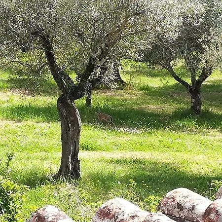 Il Casale Morello, Vacanze Al Tezio Appartement Maestrello