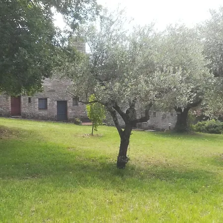 Il Casale Morello, Vacanze Al Tezio